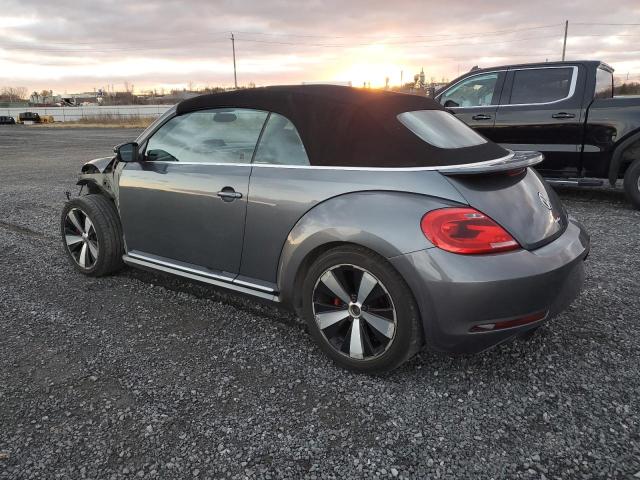 Photo 1 VIN: 3VW7S7AT9DM818188 - VOLKSWAGEN BEETLE TUR 