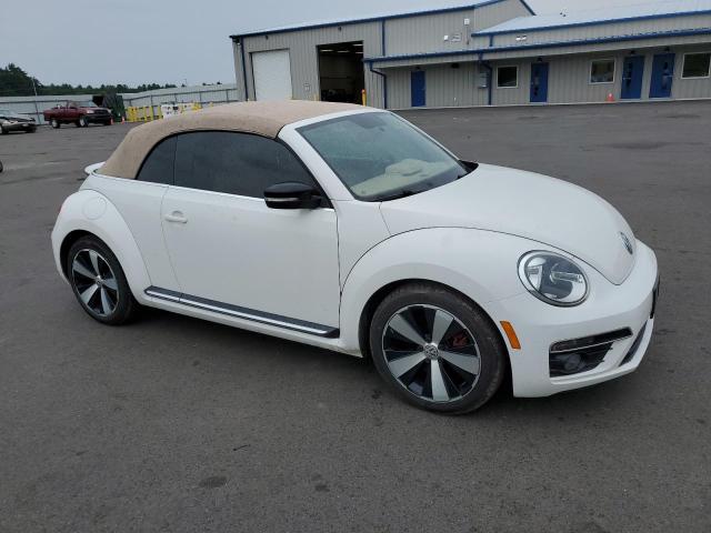 Photo 3 VIN: 3VW8S7AT4DM818362 - VOLKSWAGEN BEETLE 