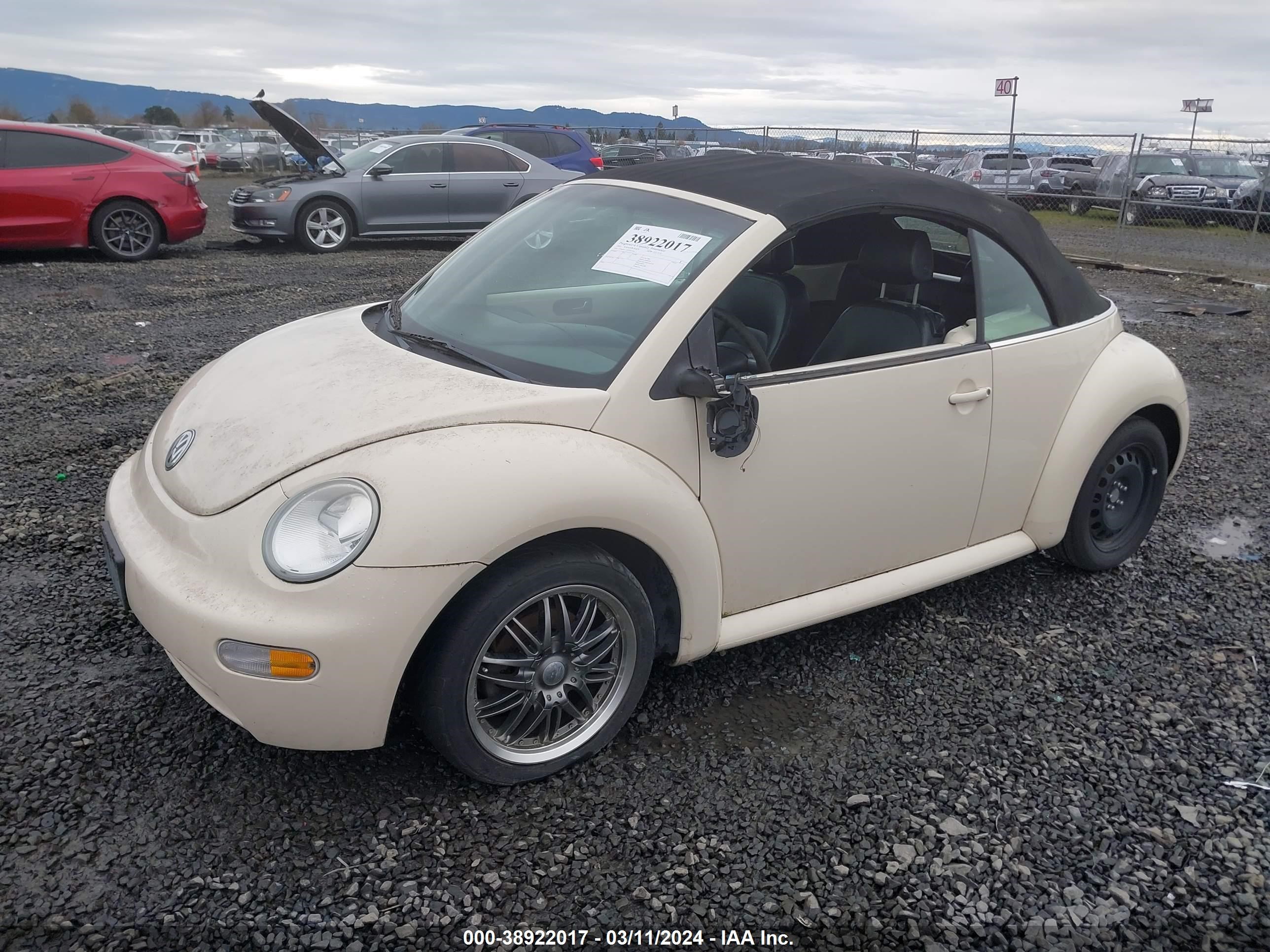 Photo 1 VIN: 3VWBM31Y05M365461 - VOLKSWAGEN BEETLE 