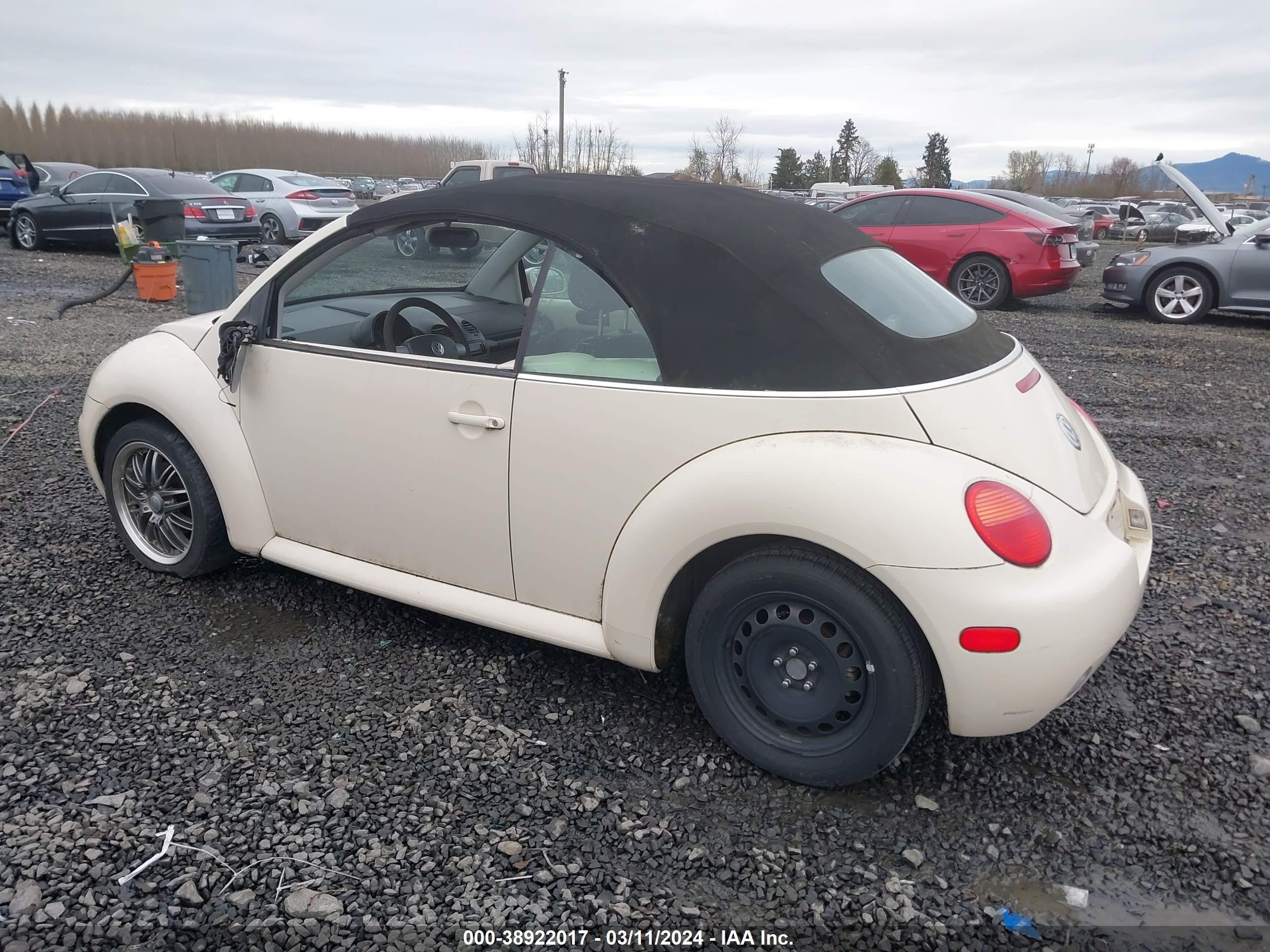 Photo 2 VIN: 3VWBM31Y05M365461 - VOLKSWAGEN BEETLE 