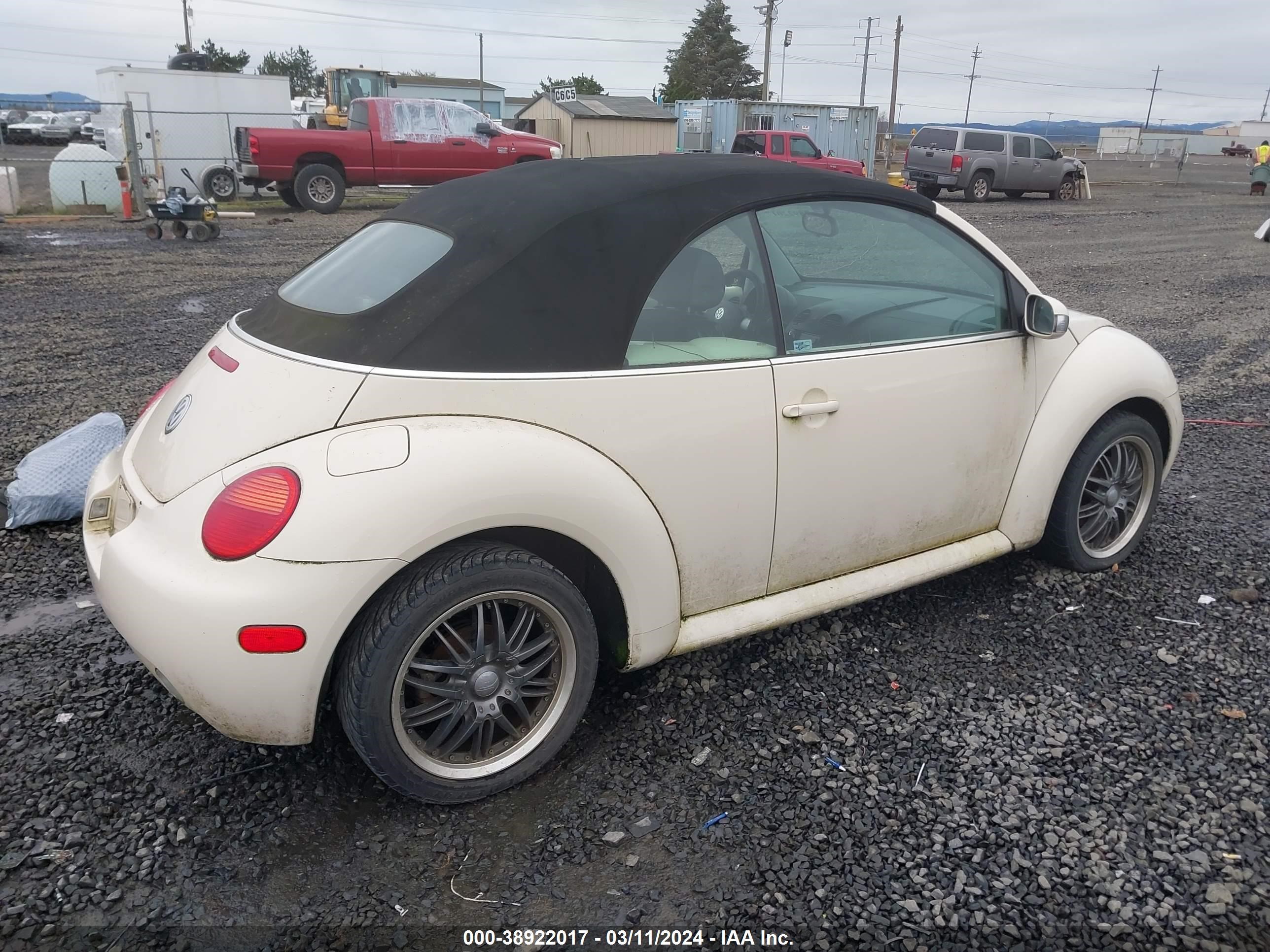 Photo 3 VIN: 3VWBM31Y05M365461 - VOLKSWAGEN BEETLE 