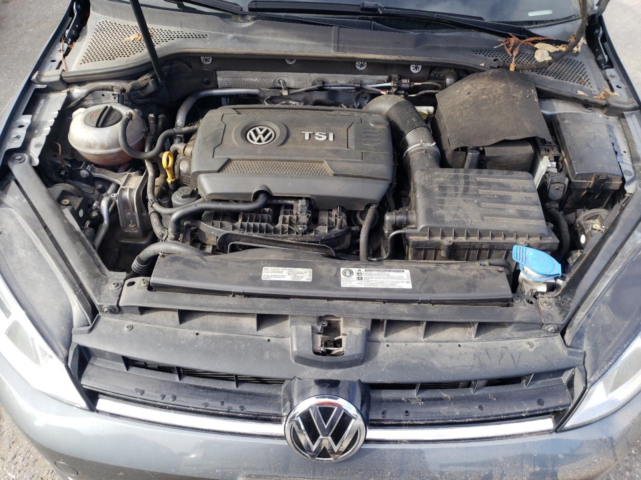 Photo 10 VIN: 3VWC17AU6GM518901 - VOLKSWAGEN GOLF 