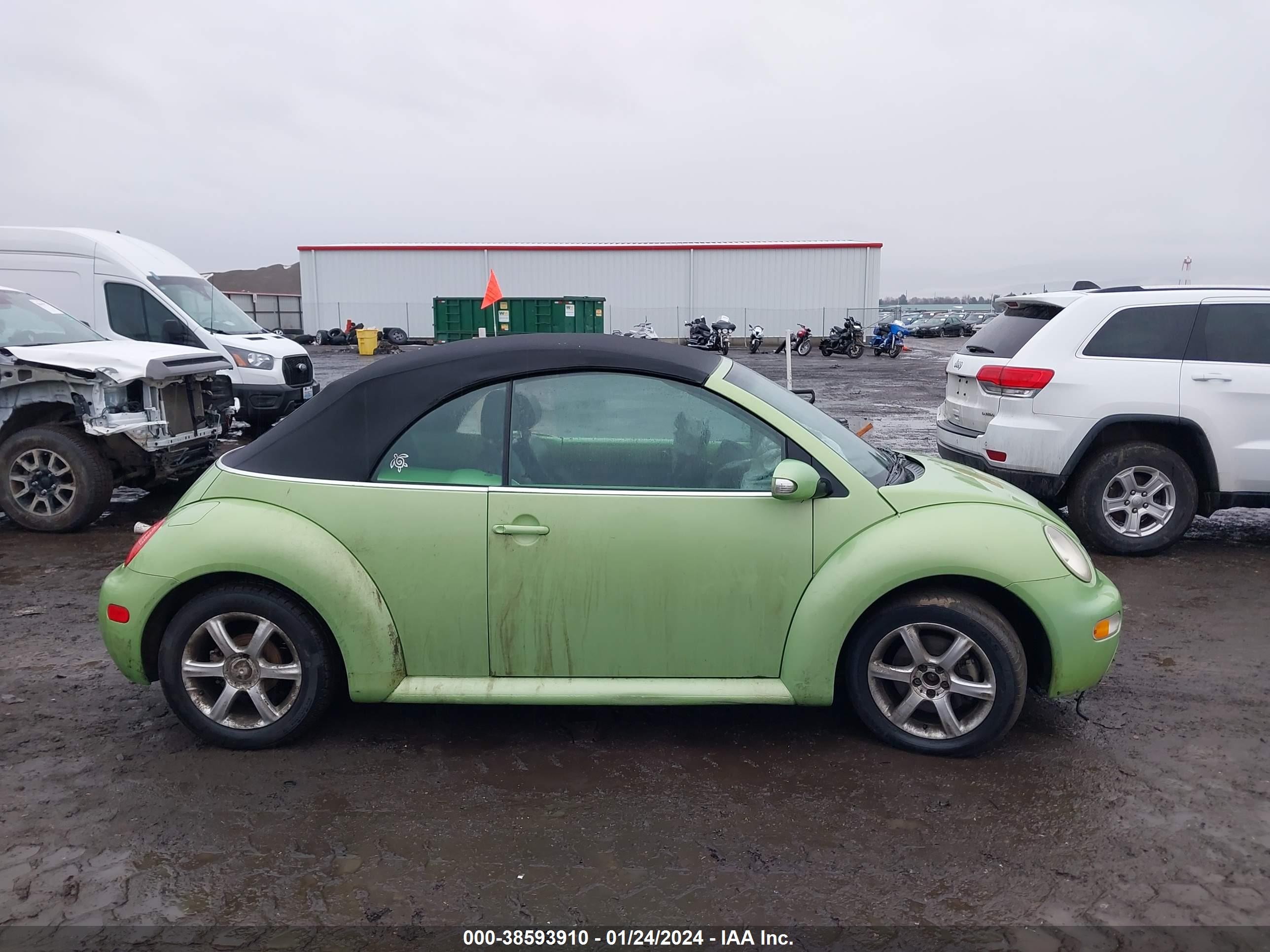 Photo 12 VIN: 3VWCD31Y15M317259 - VOLKSWAGEN BEETLE 