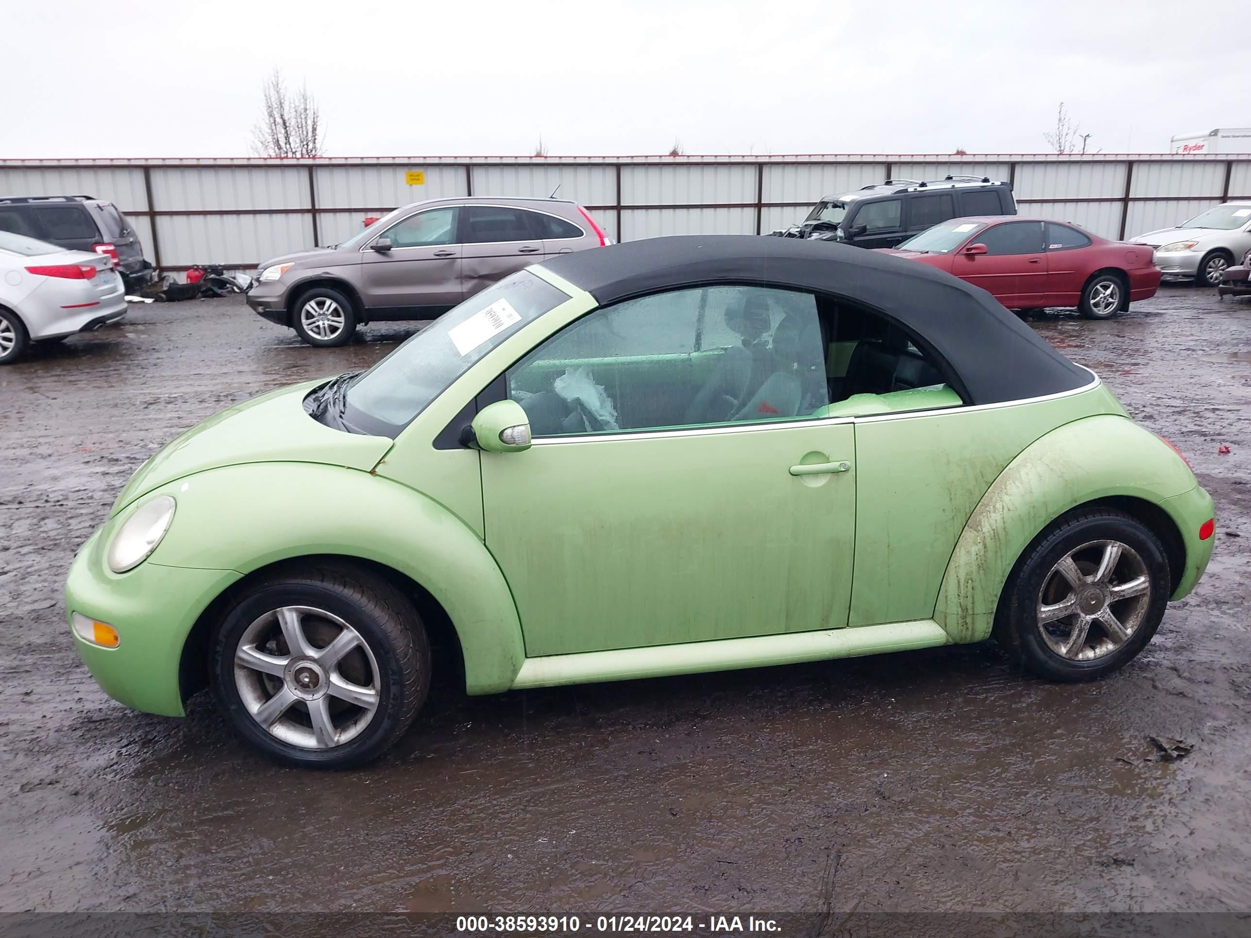 Photo 13 VIN: 3VWCD31Y15M317259 - VOLKSWAGEN BEETLE 