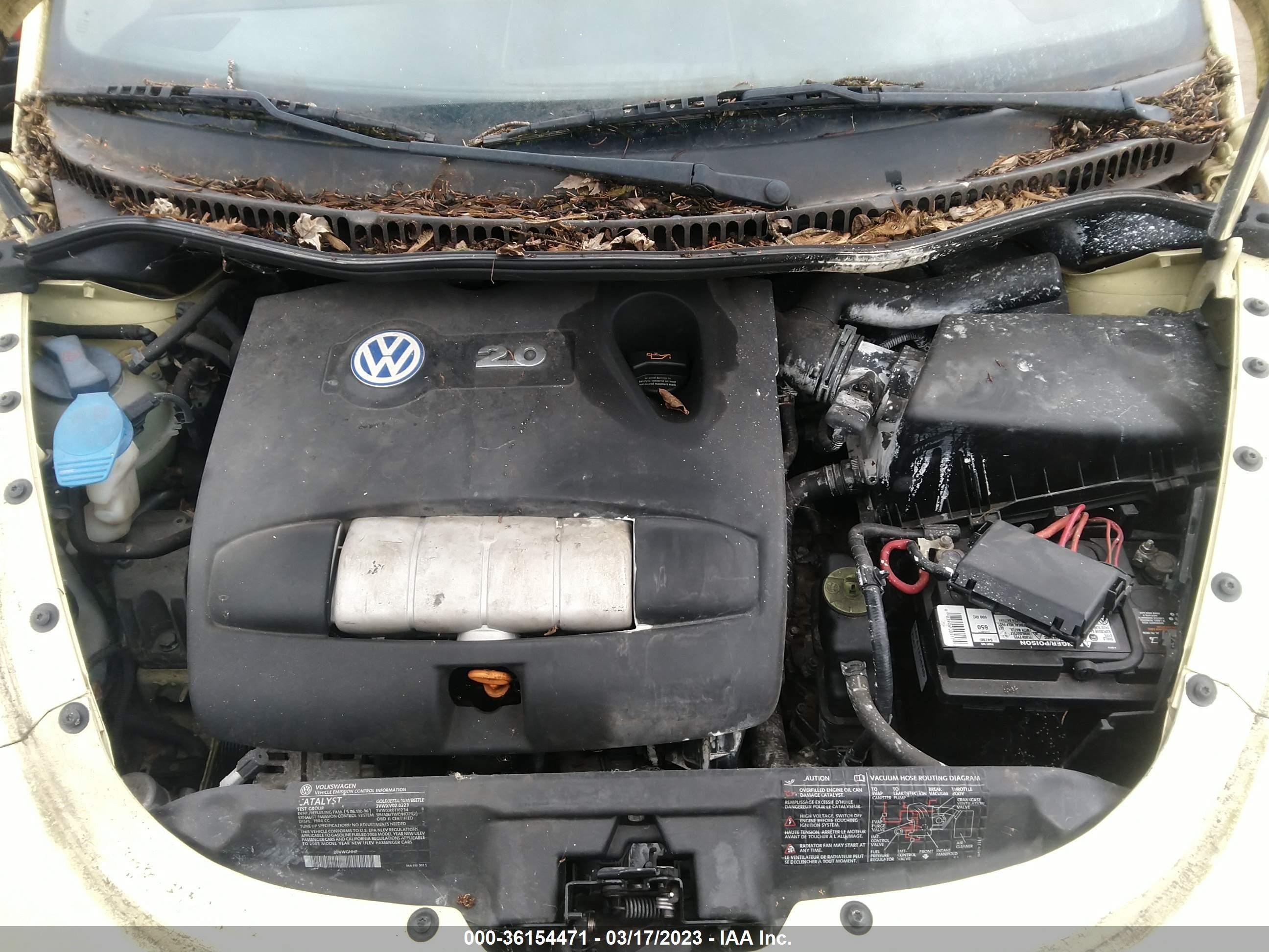 Photo 9 VIN: 3VWCK21Y63M312006 - VOLKSWAGEN BEETLE 