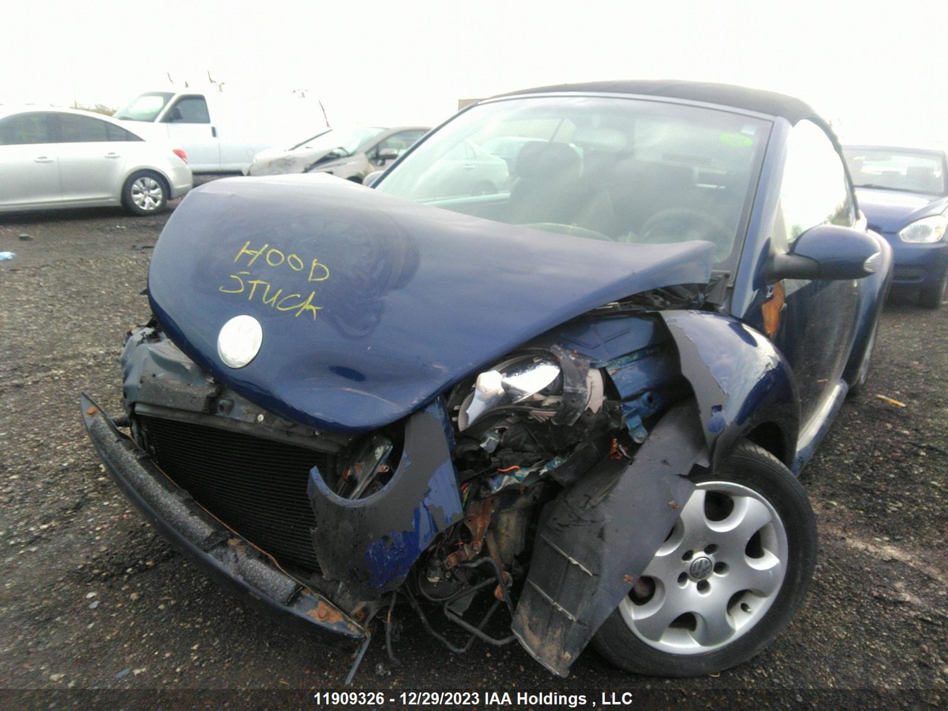 Photo 5 VIN: 3VWCK21Y83M317417 - VOLKSWAGEN BEETLE 