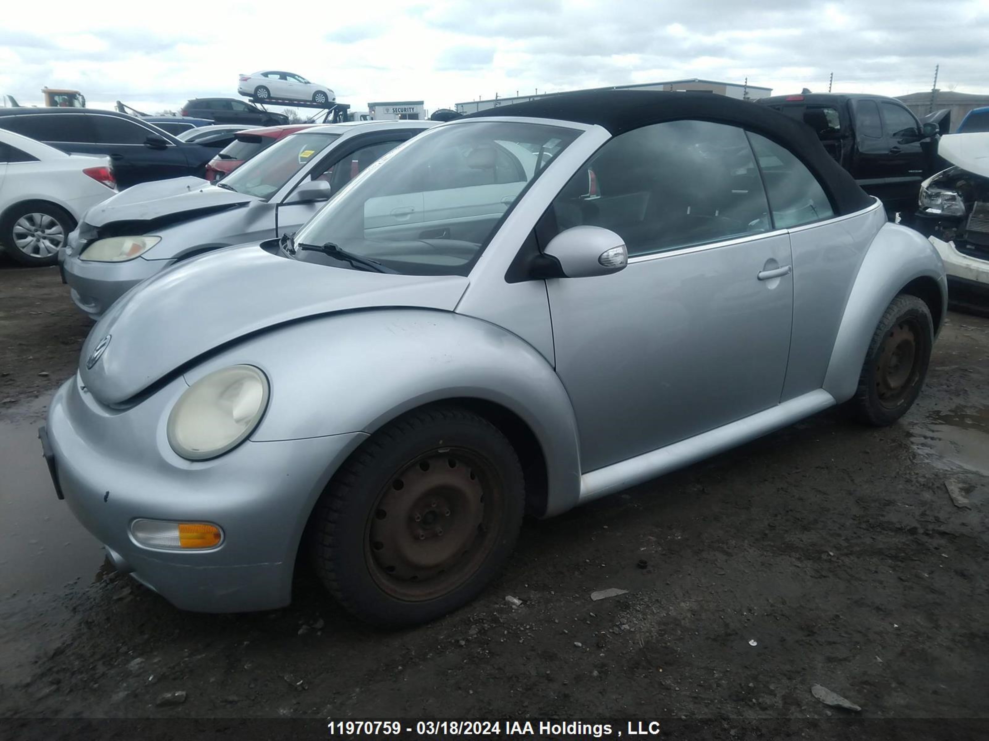 Photo 1 VIN: 3VWCM21Y75M366508 - VOLKSWAGEN BEETLE 