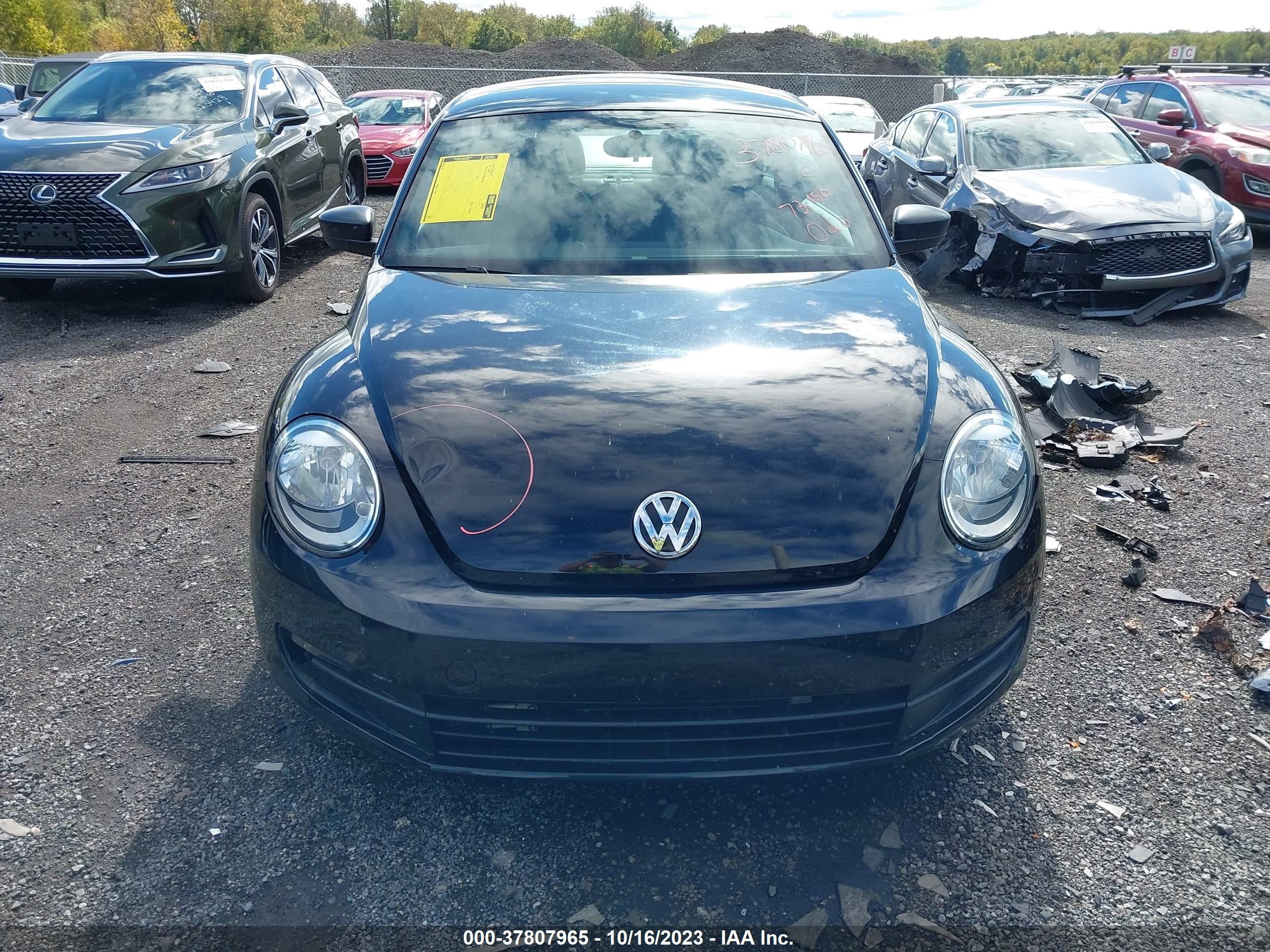 Photo 12 VIN: 3VWF17AT1GM604217 - VOLKSWAGEN BEETLE 