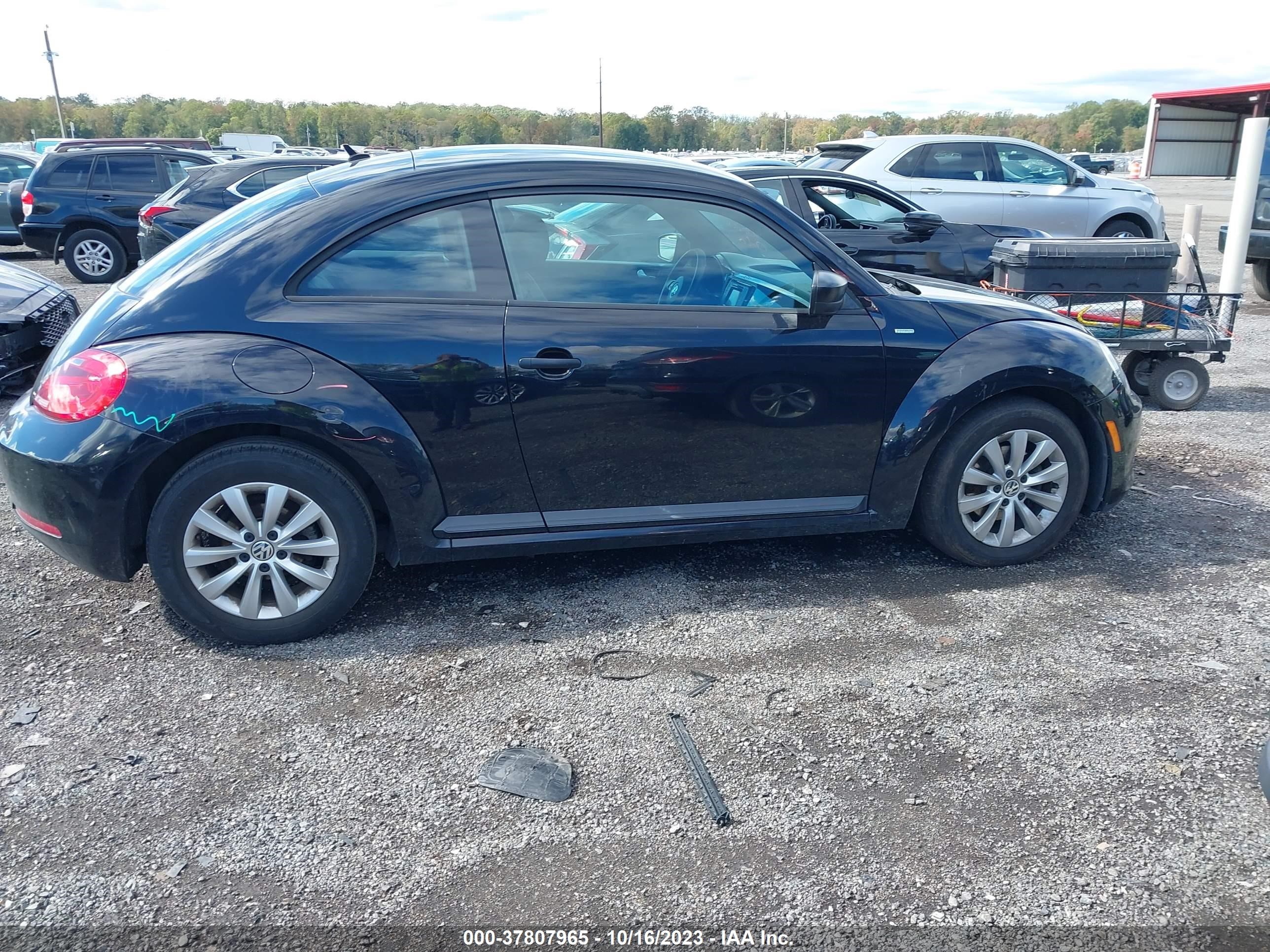 Photo 13 VIN: 3VWF17AT1GM604217 - VOLKSWAGEN BEETLE 