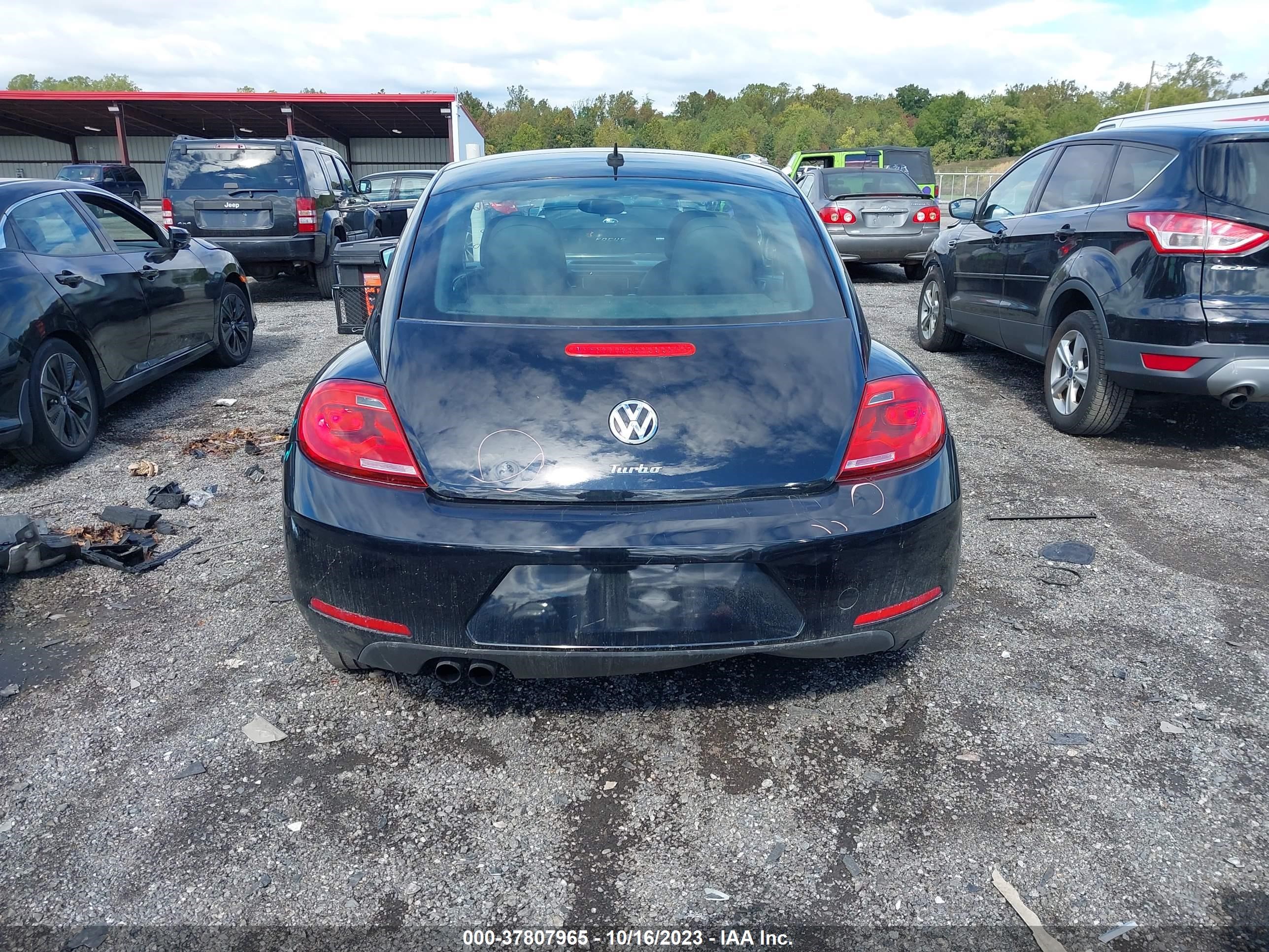 Photo 16 VIN: 3VWF17AT1GM604217 - VOLKSWAGEN BEETLE 