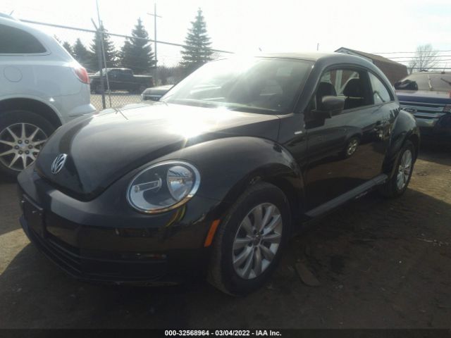 Photo 1 VIN: 3VWF17AT8GM609186 - VOLKSWAGEN BEETLE COUPE 