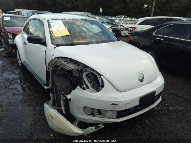 Photo 5 VIN: 3VWF17AT9FM640915 - VOLKSWAGEN BEETLE 