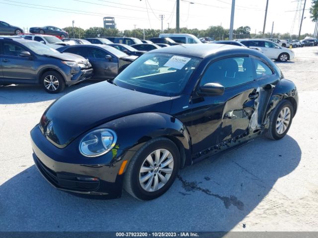 Photo 1 VIN: 3VWF17ATXGM610663 - VOLKSWAGEN BEETLE COUPE 