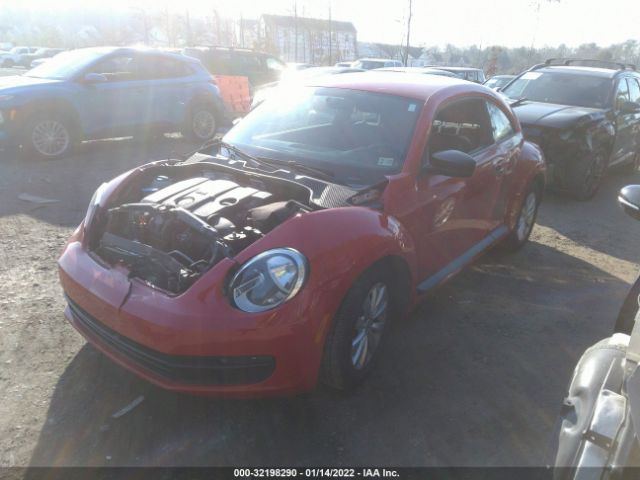 Photo 1 VIN: 3VWFP7AT5DM619121 - VOLKSWAGEN BEETLE 