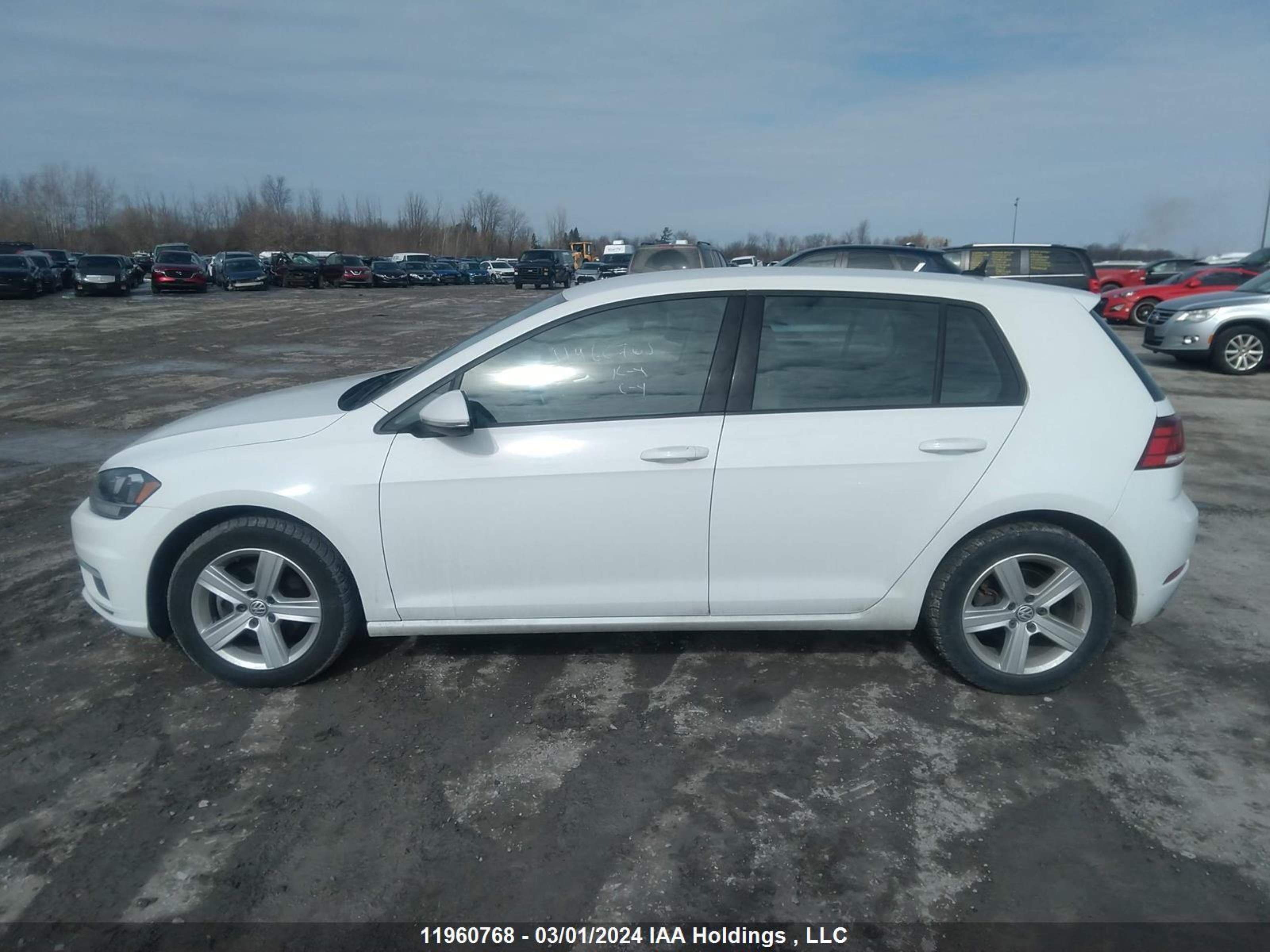 Photo 13 VIN: 3VWG57AU6MM011627 - VOLKSWAGEN GOLF 