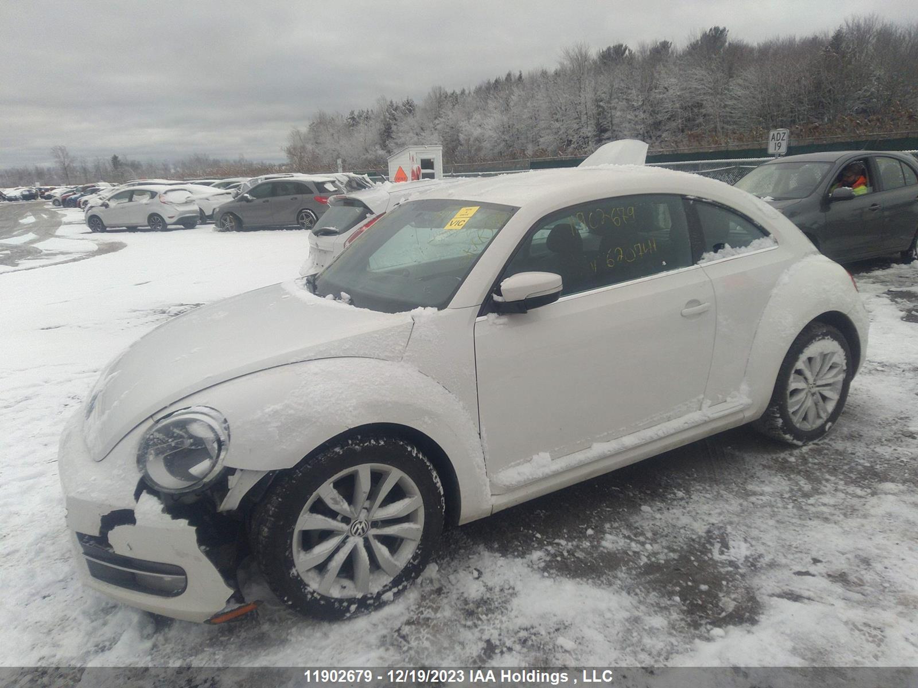 Photo 1 VIN: 3VWHX7AT8CM620741 - VOLKSWAGEN BEETLE 