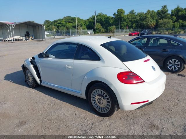 Photo 2 VIN: 3VWJP7AT3DM658638 - VOLKSWAGEN BEETLE 