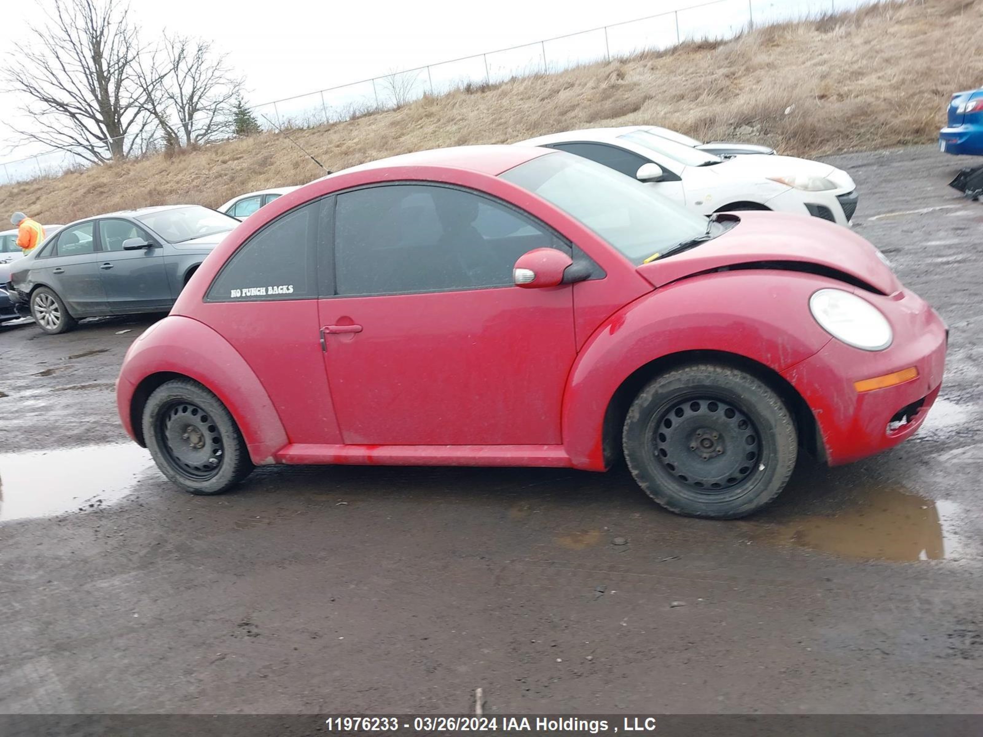 Photo 12 VIN: 3VWPG3AG7AM017140 - VOLKSWAGEN BEETLE 