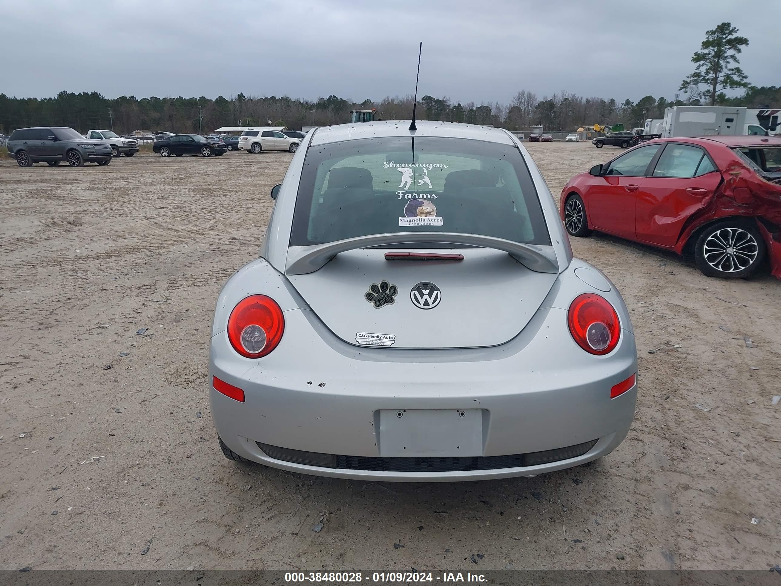 Photo 15 VIN: 3VWPW31C26M421762 - VOLKSWAGEN BEETLE 