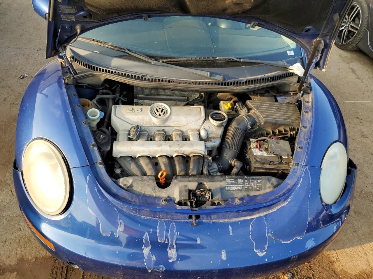 Photo 10 VIN: 3VWPW31C87M518417 - VOLKSWAGEN BEETLE 