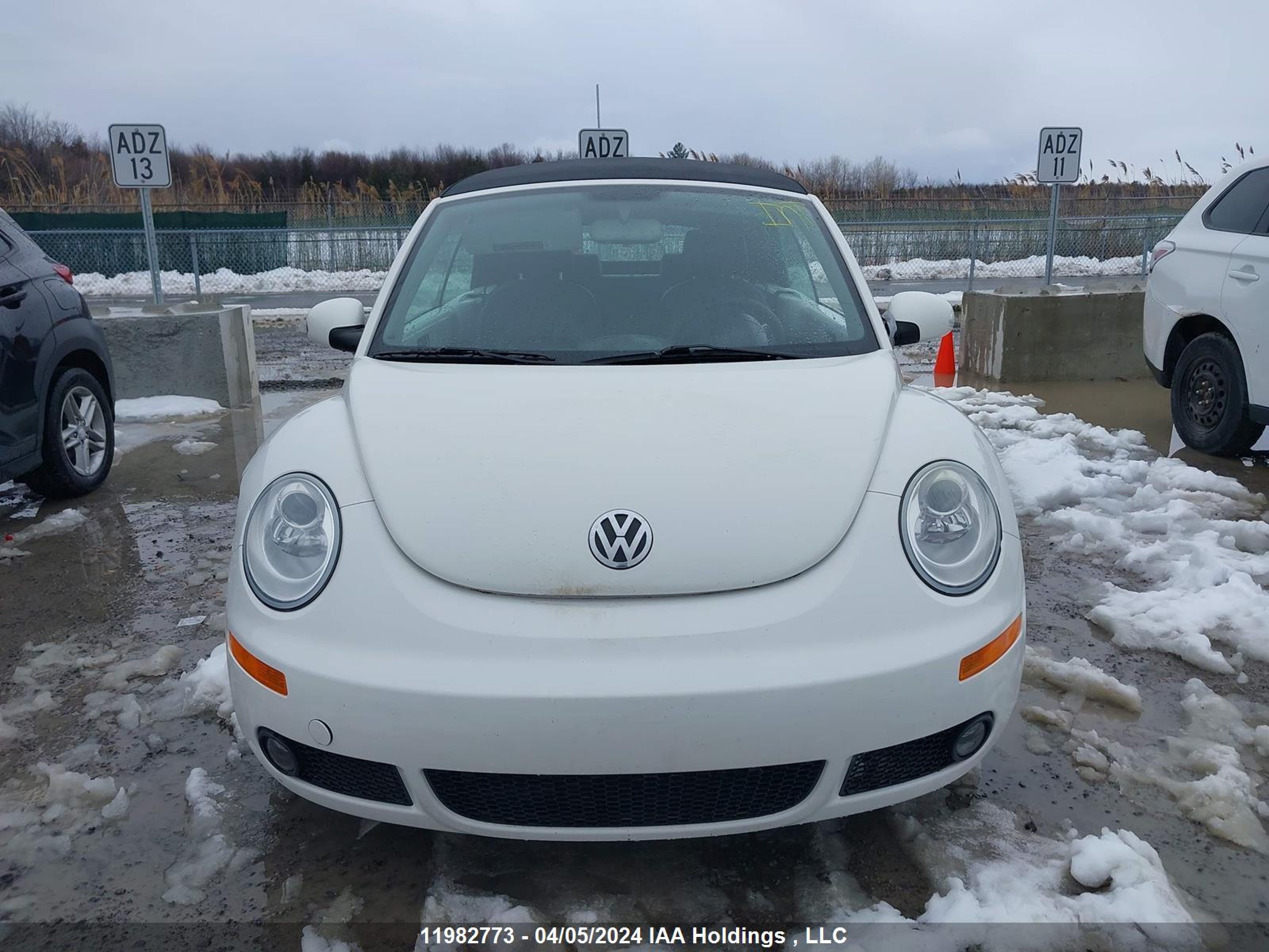 Photo 11 VIN: 3VWRF21Y79M411571 - VOLKSWAGEN BEETLE 