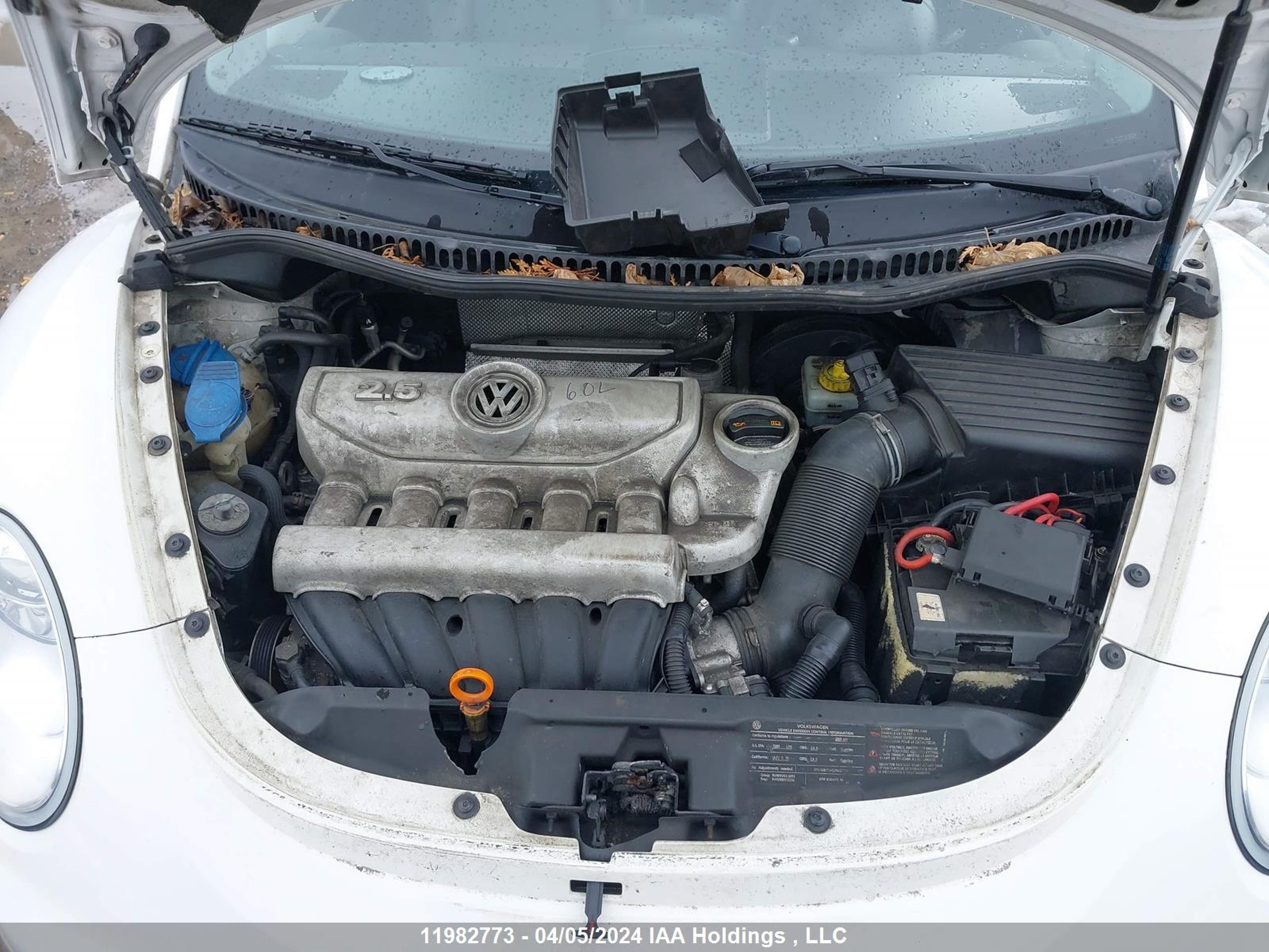 Photo 9 VIN: 3VWRF21Y79M411571 - VOLKSWAGEN BEETLE 