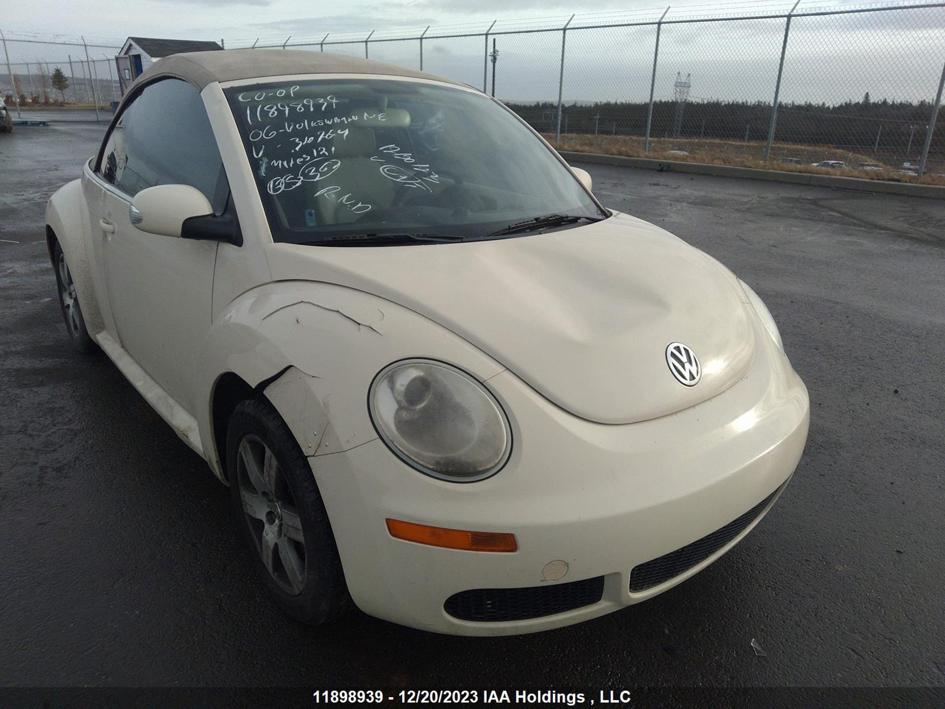 Photo 11 VIN: 3VWRF31Y46M310764 - VOLKSWAGEN BEETLE 