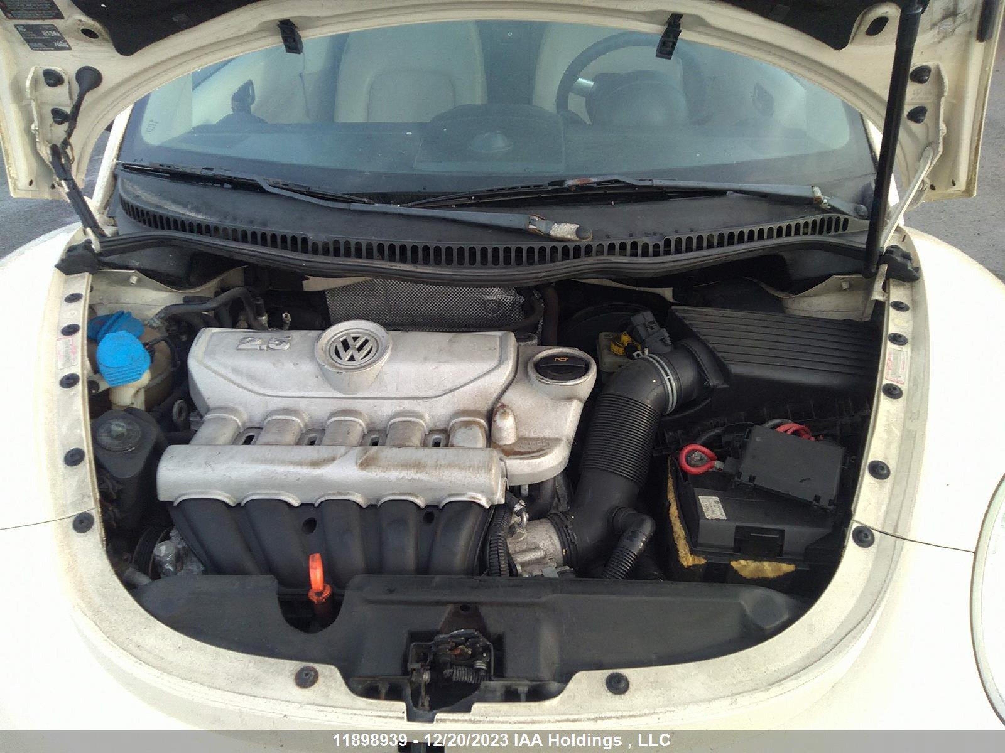 Photo 9 VIN: 3VWRF31Y46M310764 - VOLKSWAGEN BEETLE 