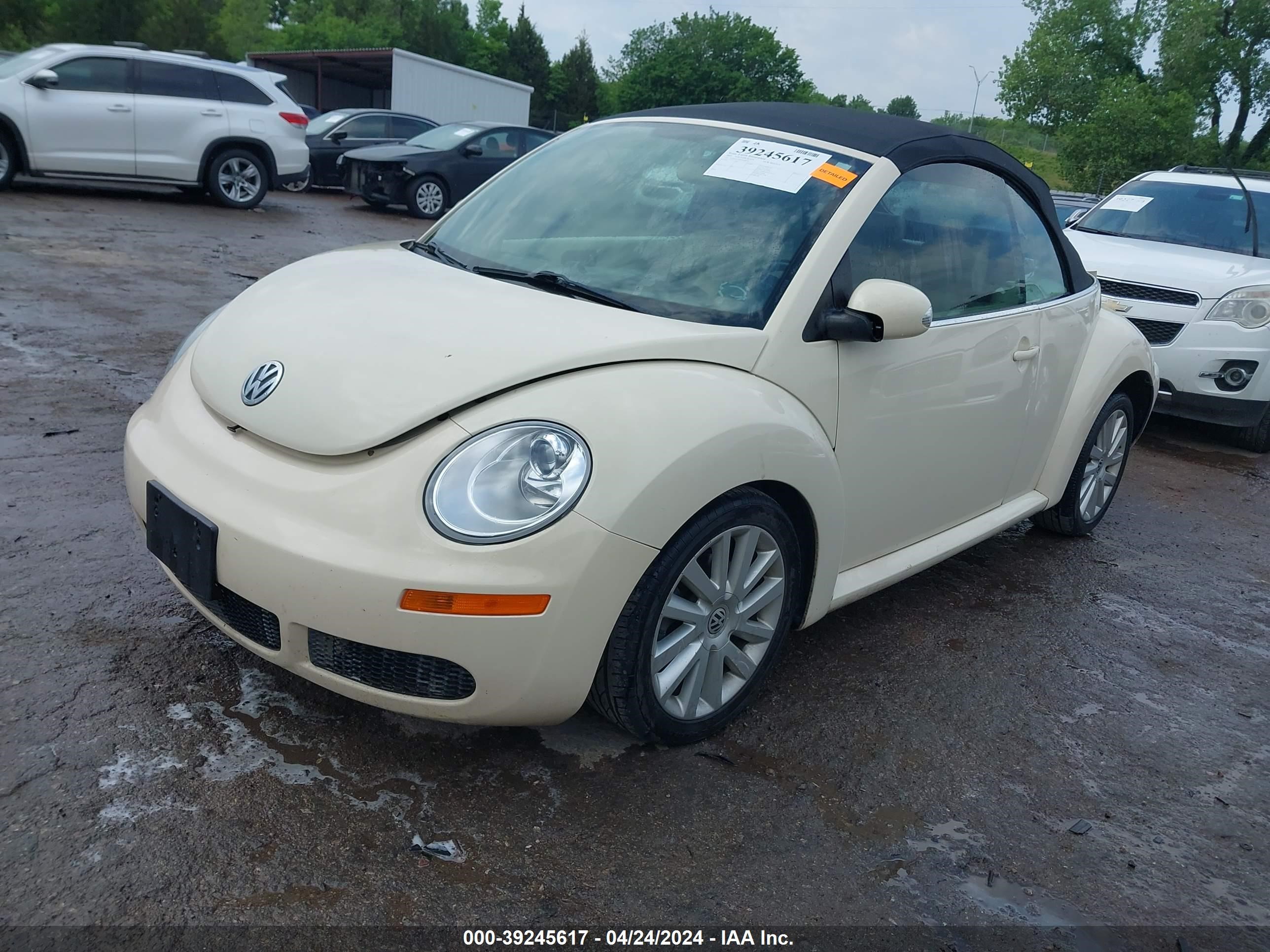 Photo 1 VIN: 3VWRF31Y89M406255 - VOLKSWAGEN BEETLE 