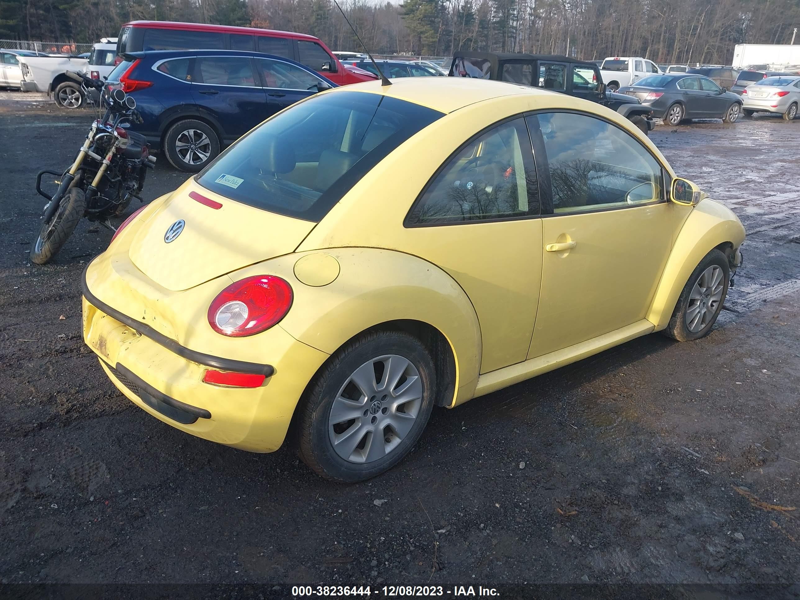 Photo 3 VIN: 3VWRG31C98M502136 - VOLKSWAGEN BEETLE 