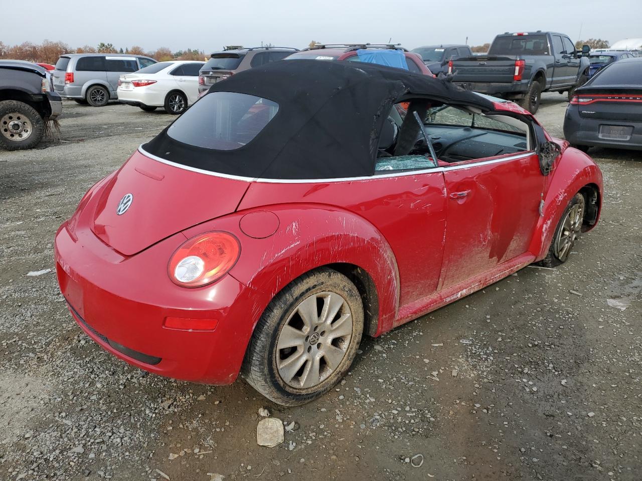 Photo 2 VIN: 3VWRG31Y89M401134 - VOLKSWAGEN BEETLE 