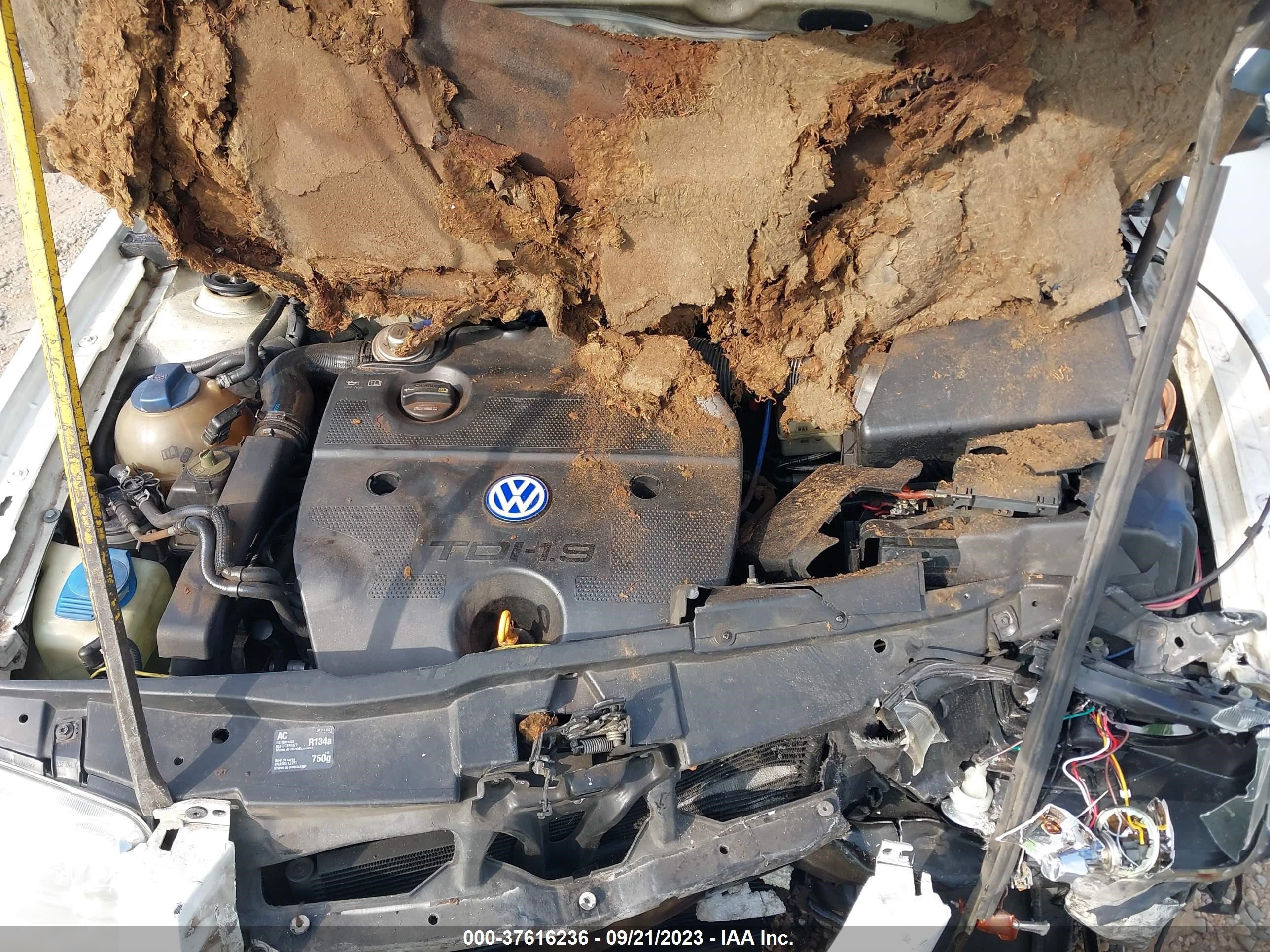 Photo 9 VIN: 3VWSP69M12M006416 - VOLKSWAGEN JETTA 