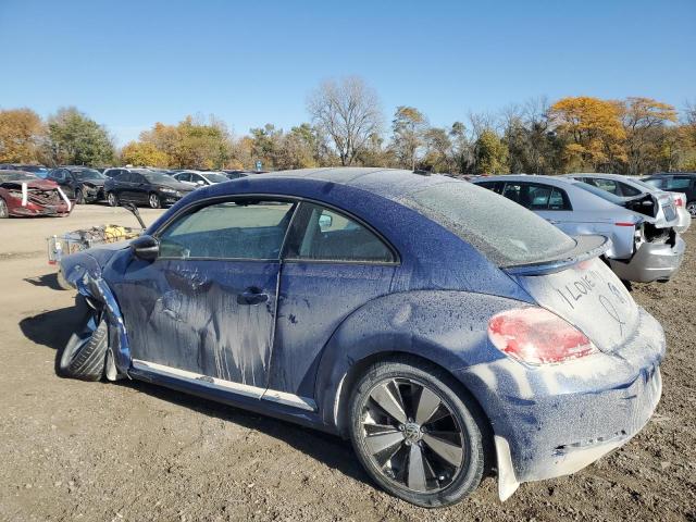 Photo 1 VIN: 3VWV67AT2DM668677 - VOLKSWAGEN BEETLE TUR 