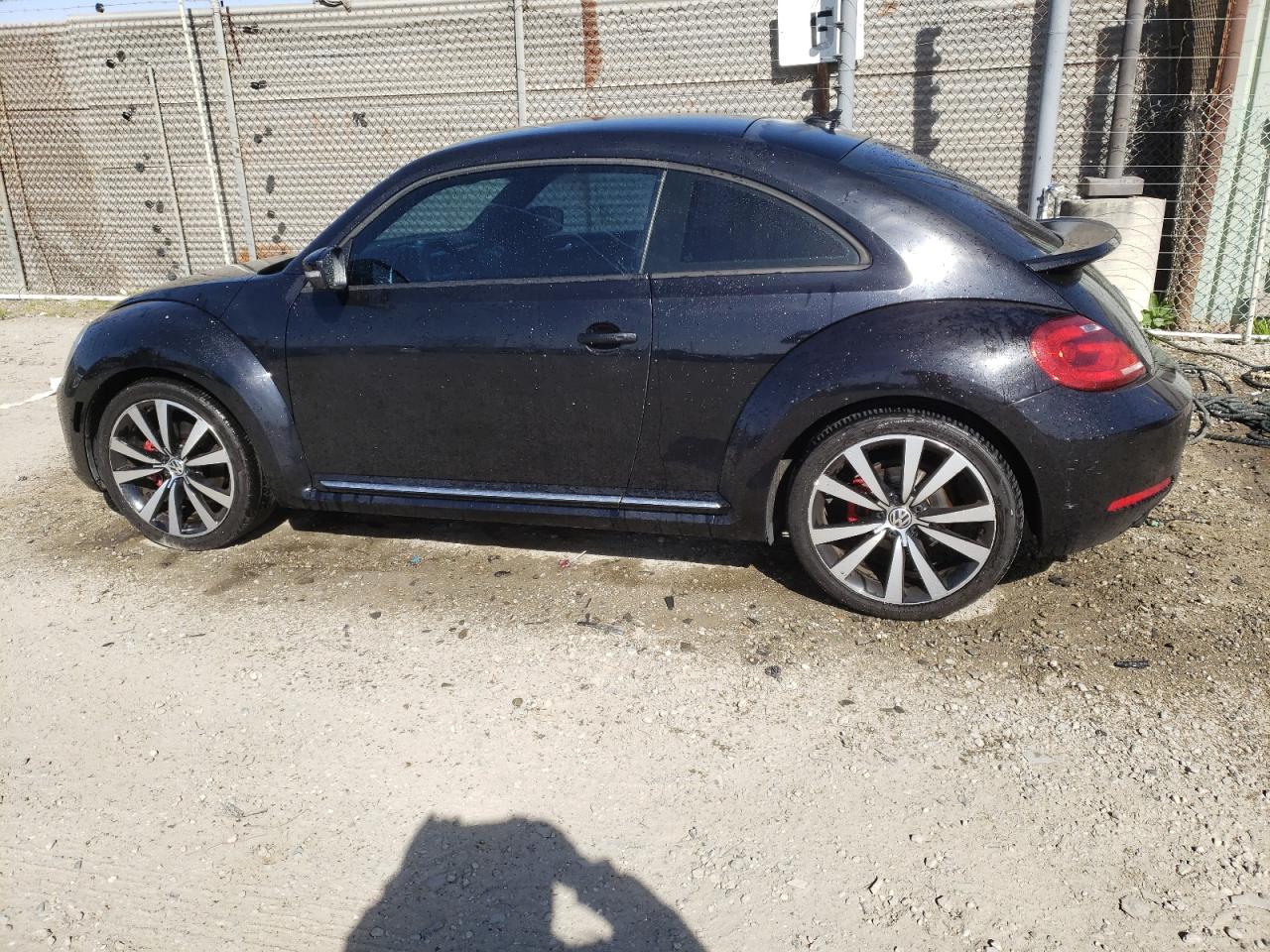 Photo 1 VIN: 3VWVA7AT0CM629647 - VOLKSWAGEN BEETLE 