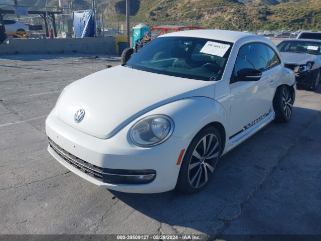 Photo 1 VIN: 3VWVA7AT5CM603934 - VOLKSWAGEN BEETLE 