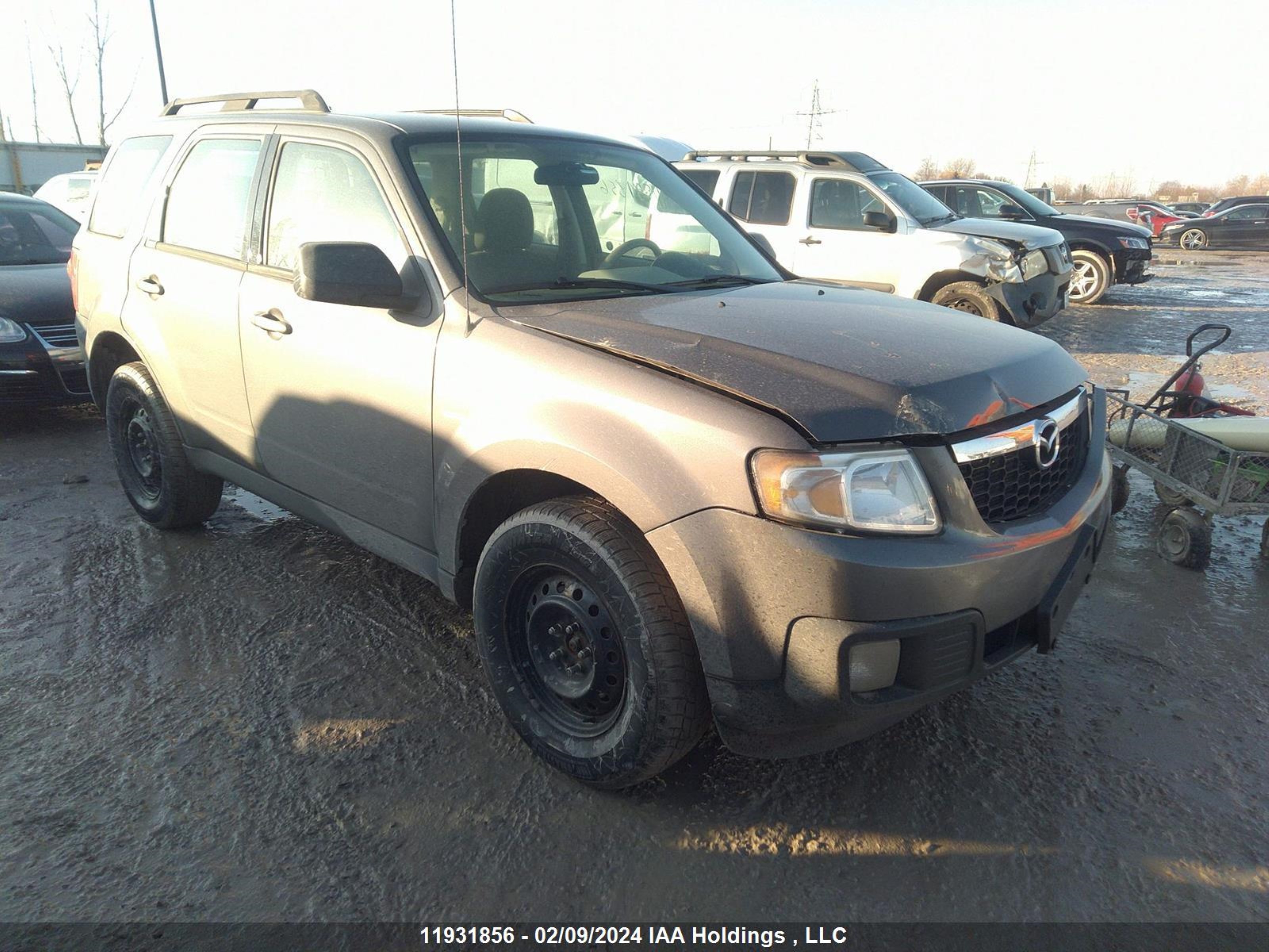 Photo 0 VIN: 4F2CY0C77BKM03933 - MAZDA TRIBUTE 