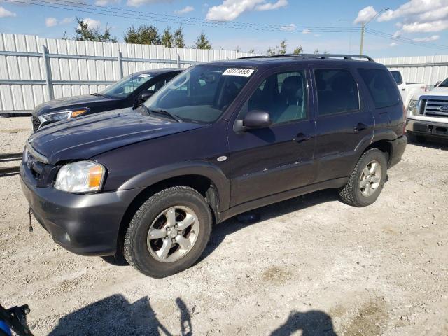 Photo 0 VIN: 4F2CZ96135KM53564 - MAZDA TRIBUTE S 