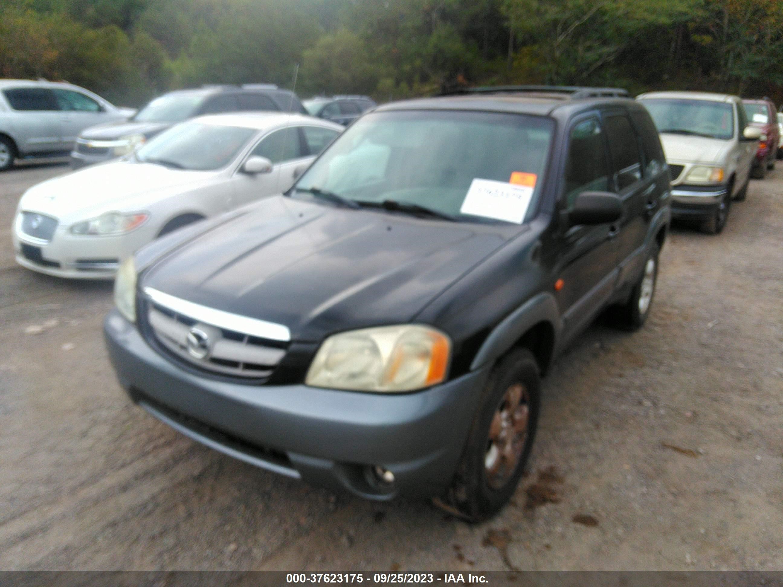 Photo 5 VIN: 4F2YU08112KM48081 - MAZDA TRIBUTE 