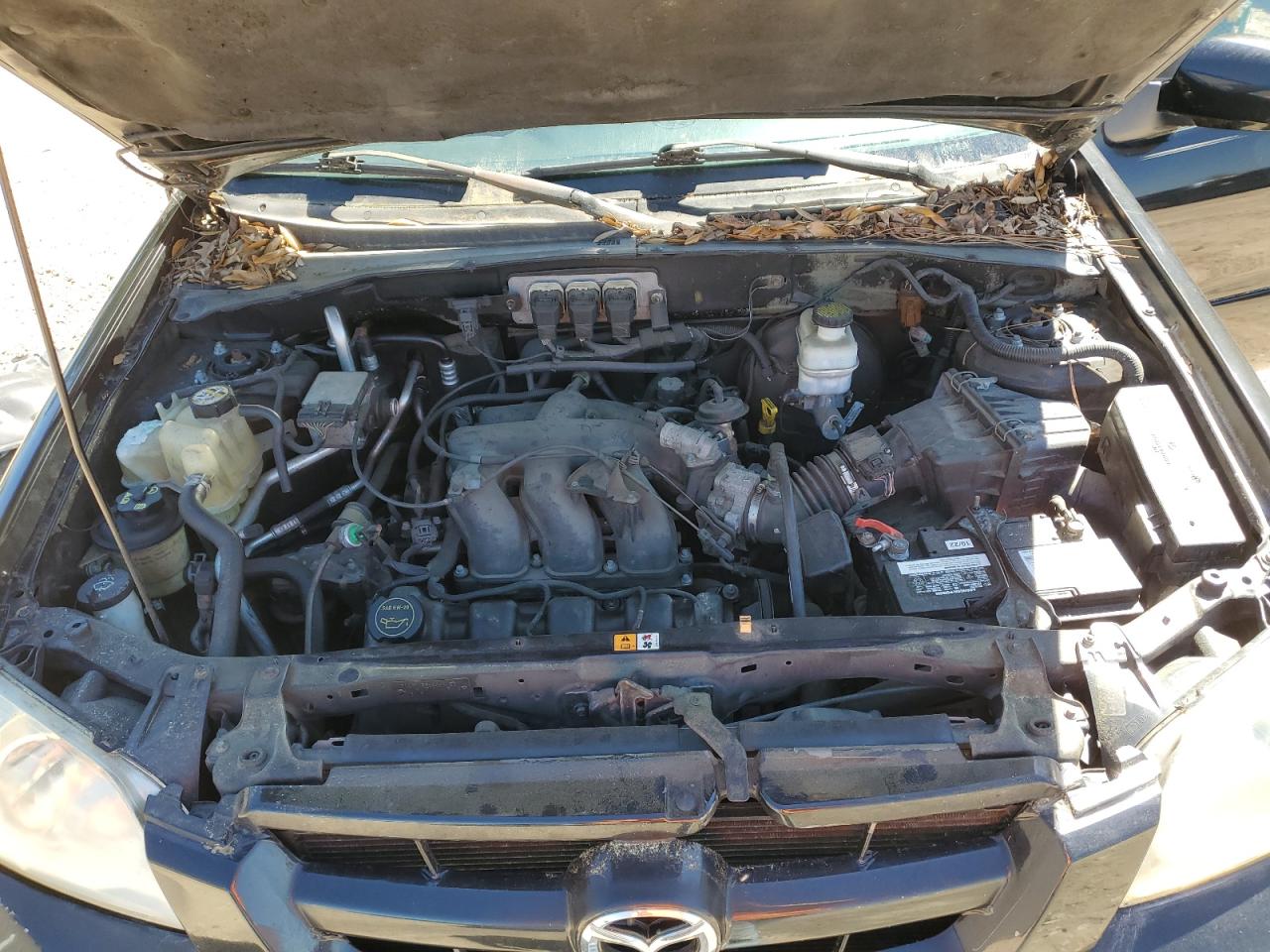 Photo 11 VIN: 4F2YZ041X6KM06666 - MAZDA TRIBUTE 