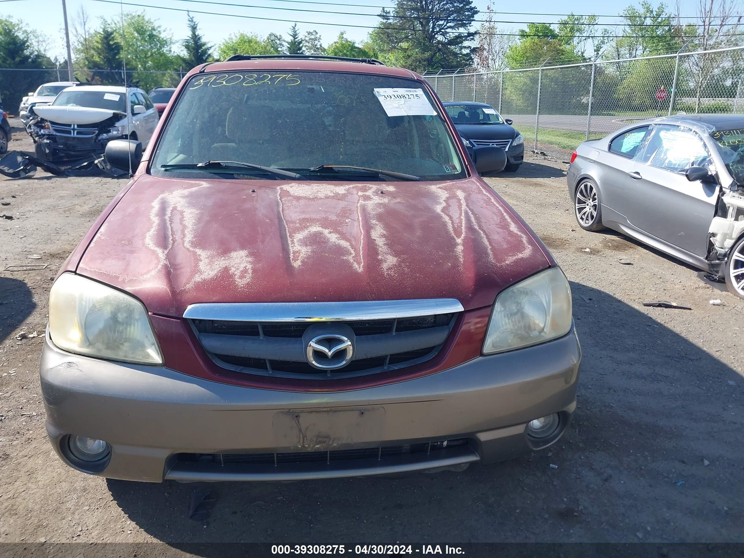 Photo 11 VIN: 4F2YZ94123KM03891 - MAZDA TRIBUTE 