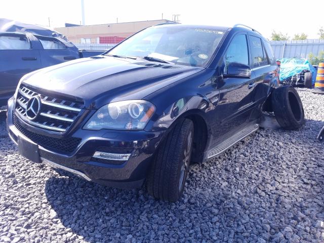 Photo 1 VIN: 4JGBB2FB1BA671449 - MERCEDES-BENZ ML 350 