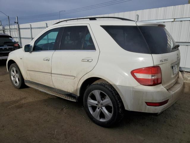 Photo 1 VIN: 4JGBB2FB6AA617482 - MERCEDES-BENZ M-CLASS 