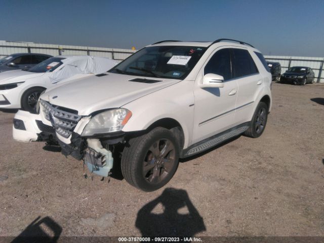 Photo 1 VIN: 4JGBB2FBXBA657680 - MERCEDES-BENZ M-CLASS 