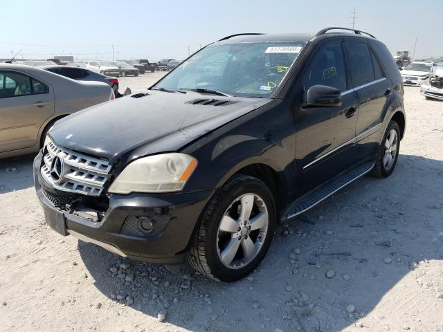 Photo 1 VIN: 4JGBB5GB0BA646087 - MERCEDES-BENZ ML 350 