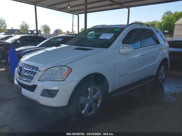 Photo 1 VIN: 4JGBB5GB3AA612563 - MERCEDES-BENZ ML 350 