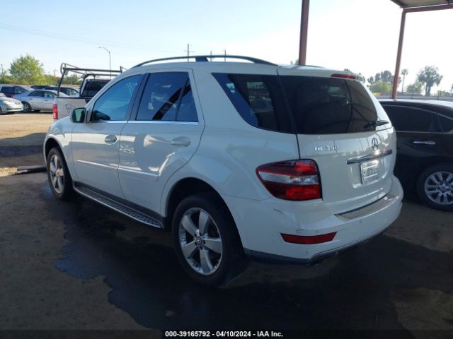 Photo 2 VIN: 4JGBB5GB3AA612563 - MERCEDES-BENZ ML 350 