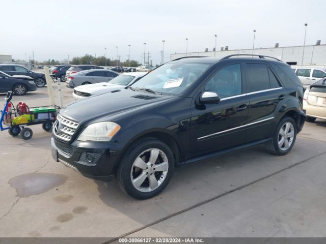 Photo 1 VIN: 4JGBB5GB4AA587382 - MERCEDES-BENZ ML 350 