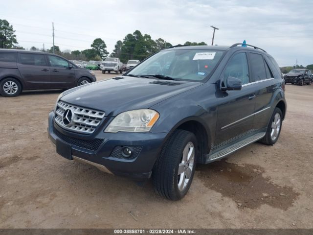 Photo 1 VIN: 4JGBB5GB4BA656508 - MERCEDES-BENZ ML 350 