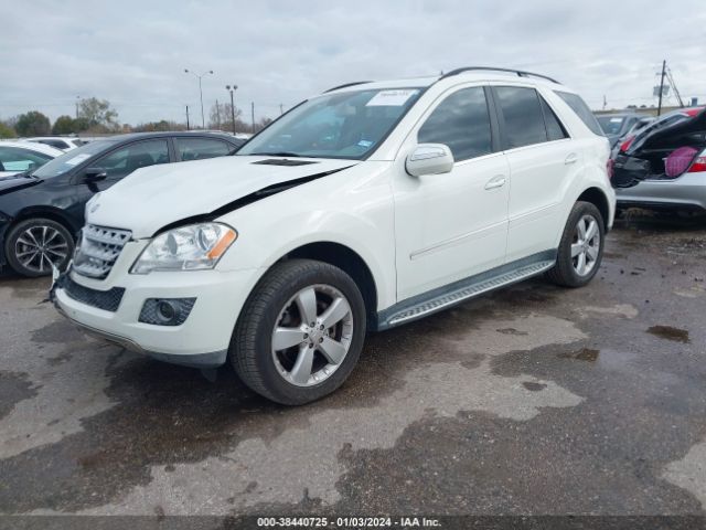 Photo 1 VIN: 4JGBB5GB5AA613780 - MERCEDES-BENZ ML 350 