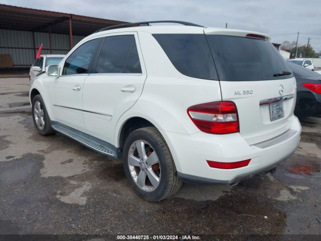 Photo 2 VIN: 4JGBB5GB5AA613780 - MERCEDES-BENZ ML 350 